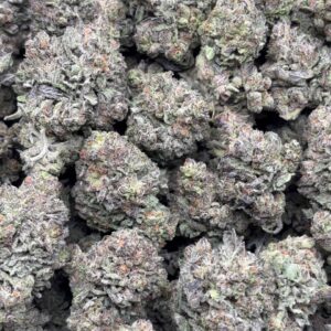 •625 #ck557 premium lato