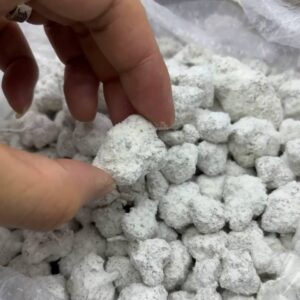 •$899 #specialsnowcap: strawberry/blueberry/mango (med and large))