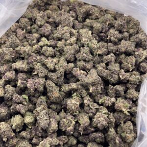CM625-Purple Pepper Candy