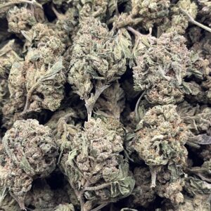 CH627-Green Velvet