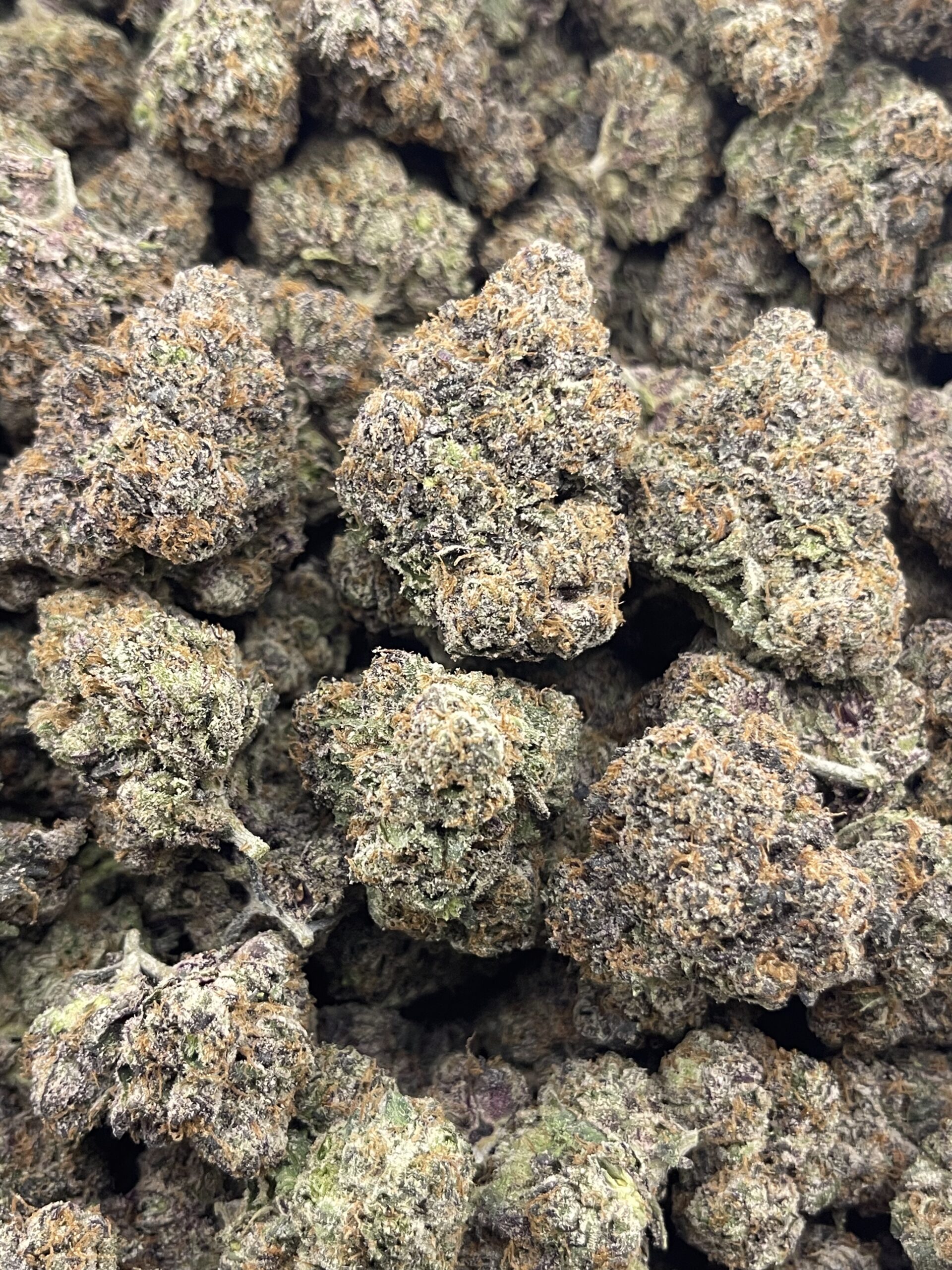 CY004-Frosted Candy Kush