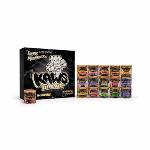 KAWS Rocks – Exotic Moonrocks Collection