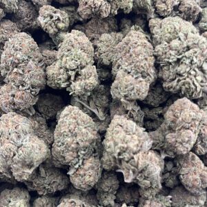 CH604-Cherry Biscotti