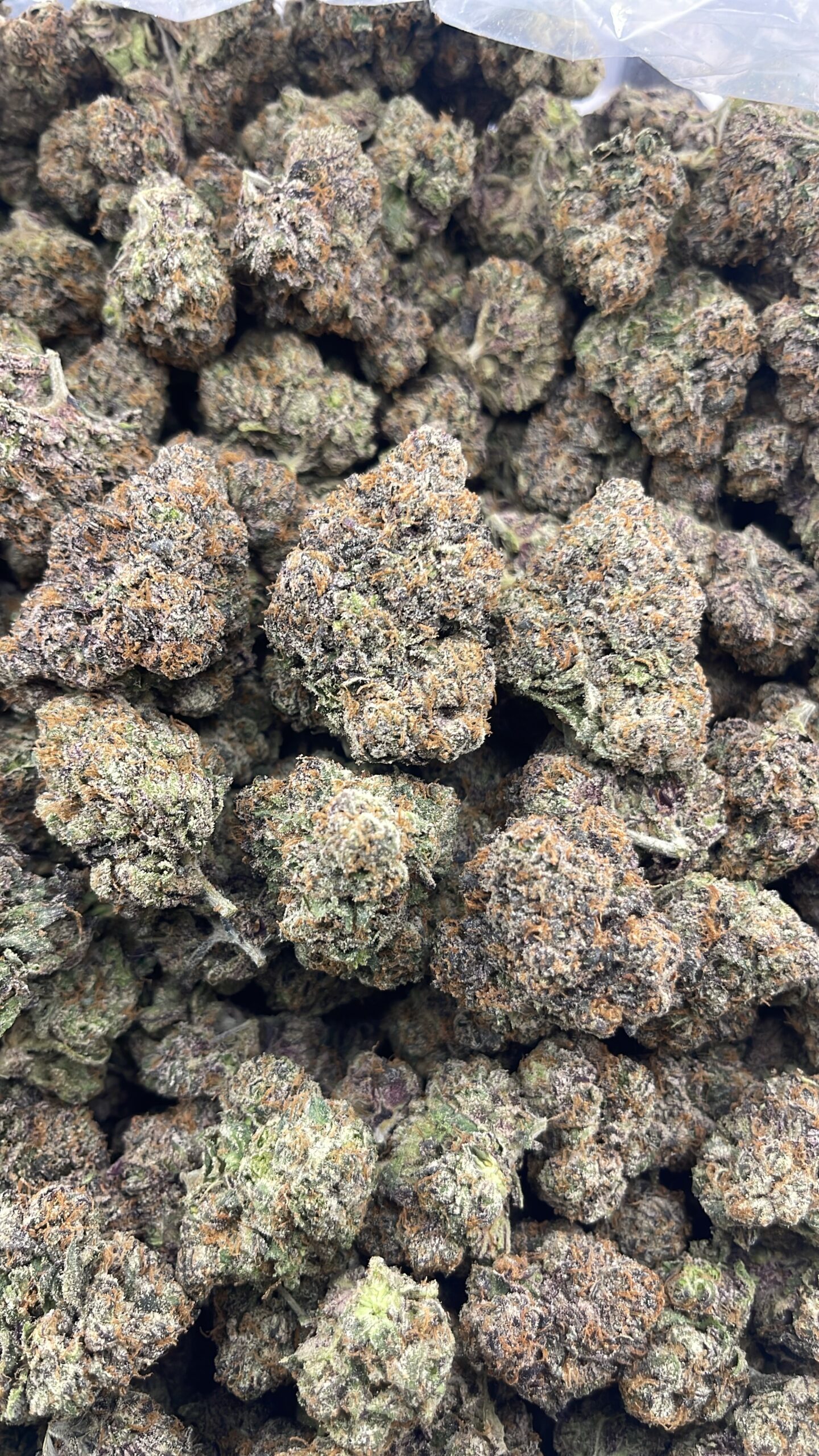 CY004-Frosted Candy Kush - Image 2