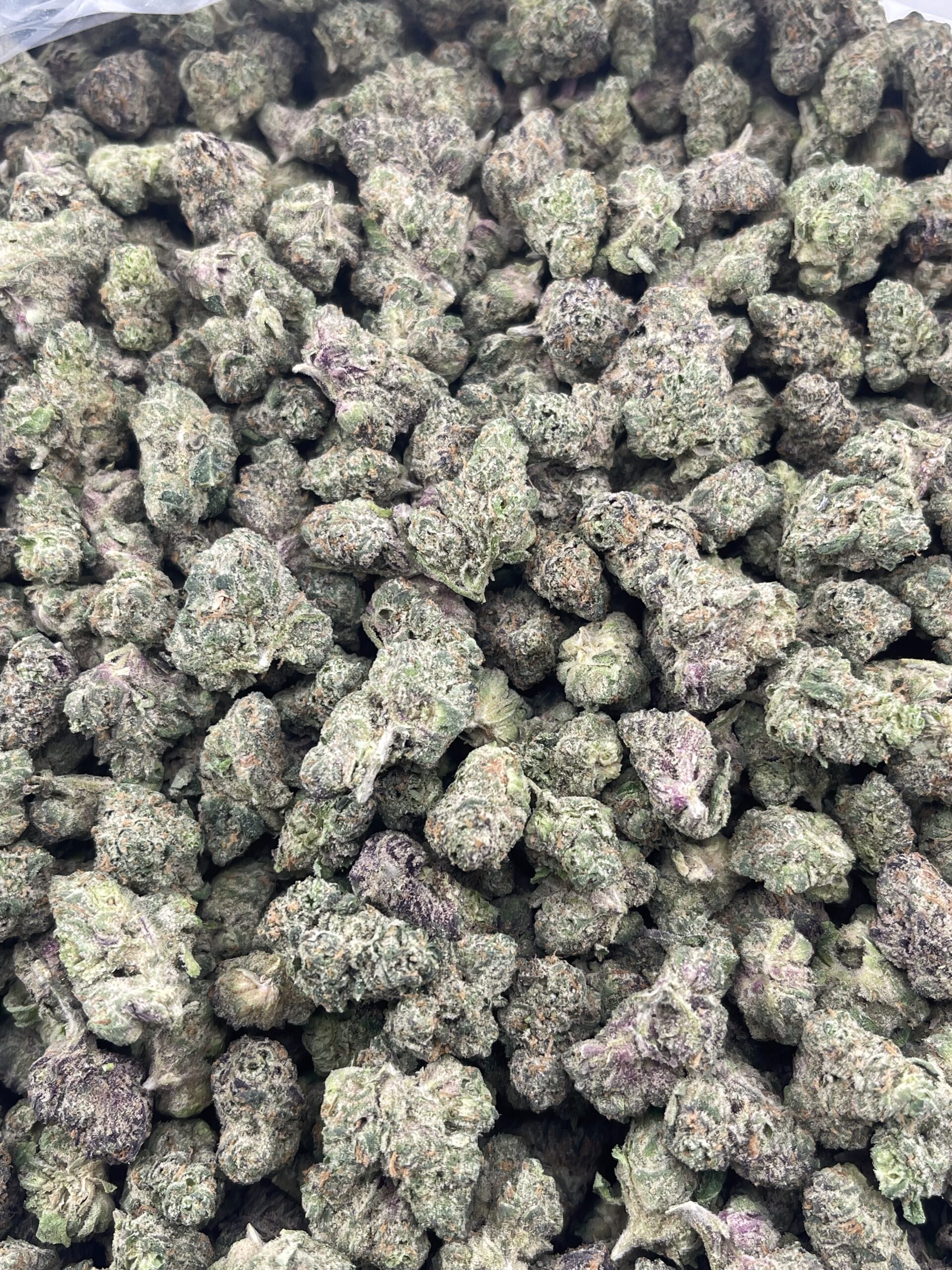 E629-Royal Candy Small
