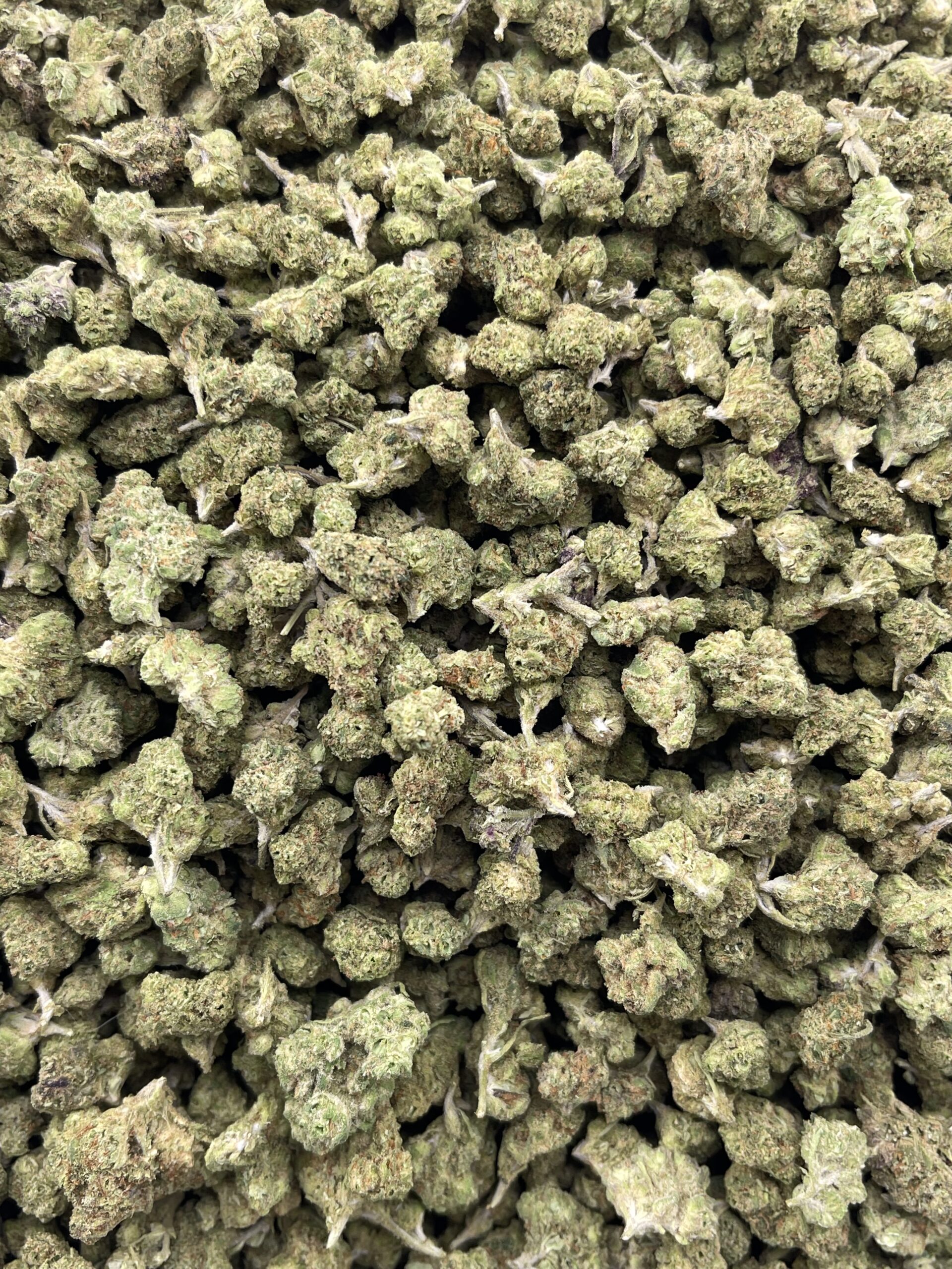 E632-Blue Skittlez